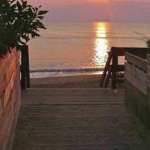 Meet your Posher, Wanda